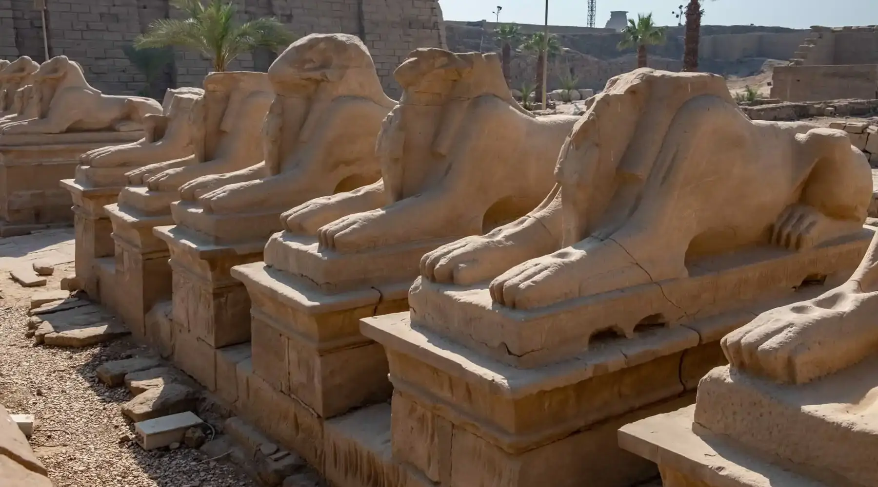 Karnak Temple Tours in Luxor Egypt