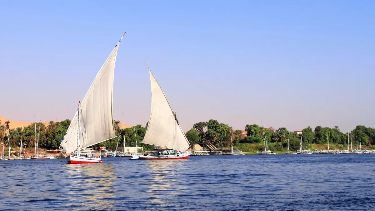 Traditional Nile feluccas under full sail, like those used for a private felucca Cairo cruise