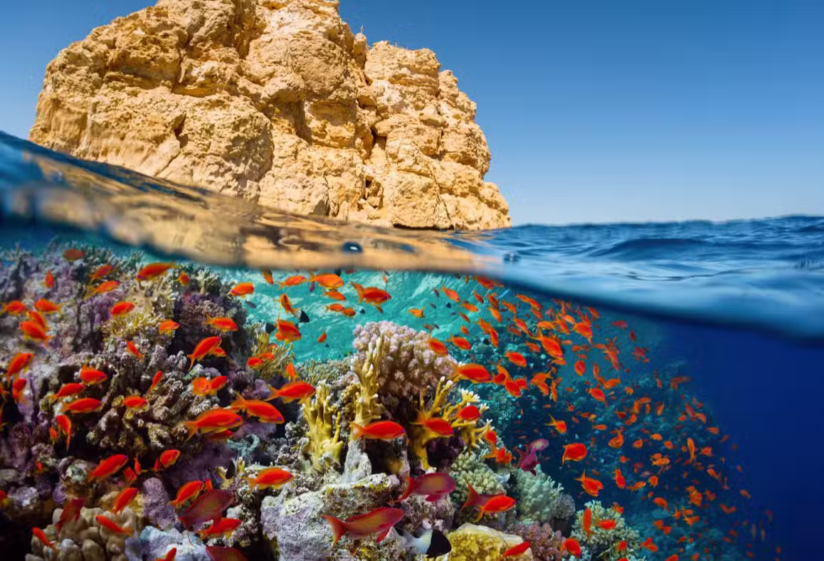 Red Sea in Egypt with crystal-clear blue waters and a beautiful coastline